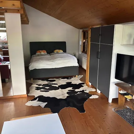 Gartenstudio Belle Vue By Interhome Frutigen